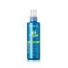 SALERM 21 EXPRESS SPRAY 190ml - SALERM
