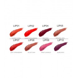 LIPSTICK  labial - SALERM