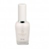 TOP COAT ESMALTE - D'ORLEAC FAMA FABRE
