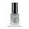 ESMALTE UÑAS POLLIE 12ML - DAGMAGROUP
