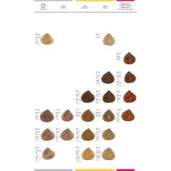 PRUBA TINTE SALERM VISON 75ml - ESCOGE TU COLOR