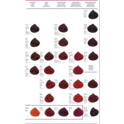 PRUBA TINTE SALERM VISON 75ml - ESCOGE TU COLOR